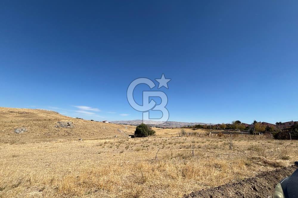 CB VİZYON'DAN  1500m2 TEK TAPU 0.15 EMSAL ARSA