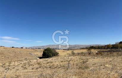 CB VİZYON'DAN  1500m2 TEK TAPU 0.15 EMSAL ARSA