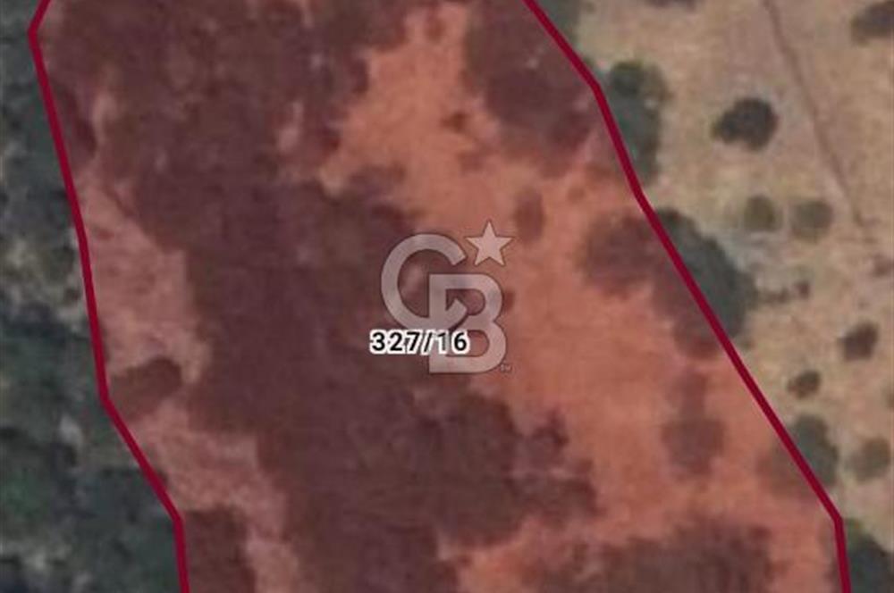 Çanakkale Ayvacık Babakale satılık 3400 m2 tarla zeytinlik uygun