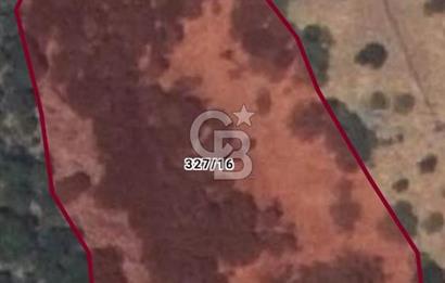 Çanakkale Ayvacık Babakale satılık 3400 m2 tarla zeytinlik uygun