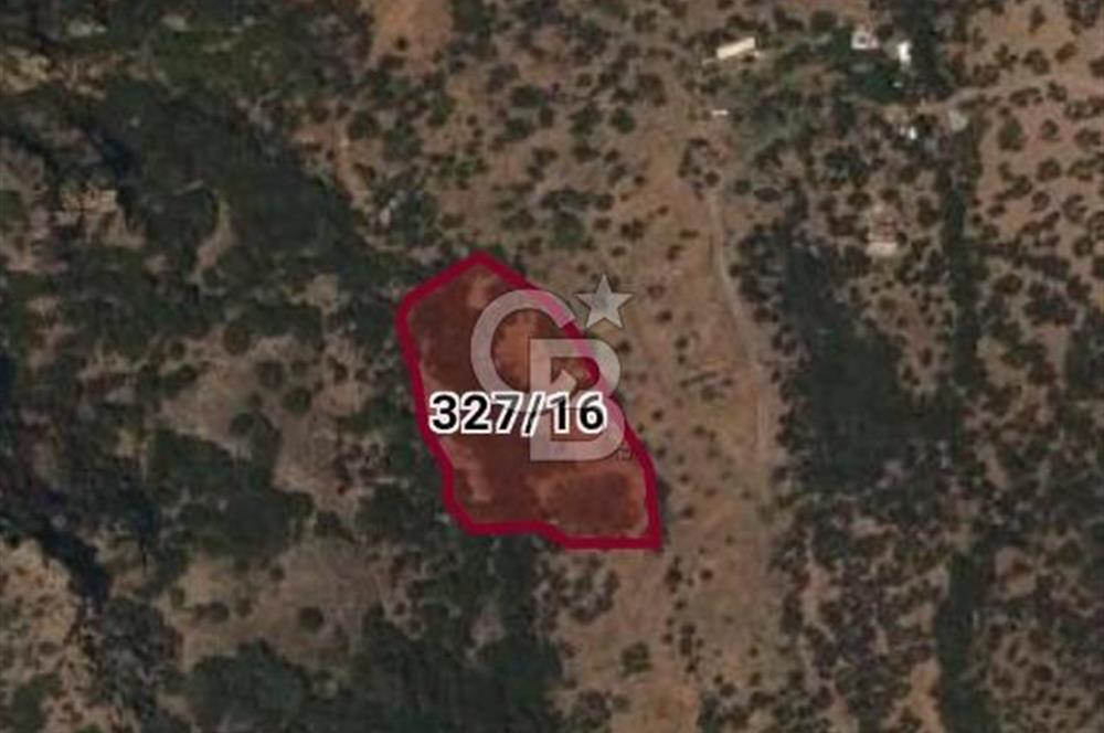 Çanakkale Ayvacık Babakale satılık 3400 m2 tarla zeytinlik uygun