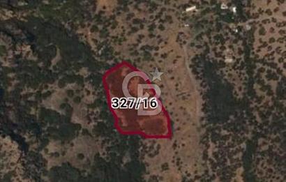 Çanakkale Ayvacık Babakale satılık 3400 m2 tarla zeytinlik uygun