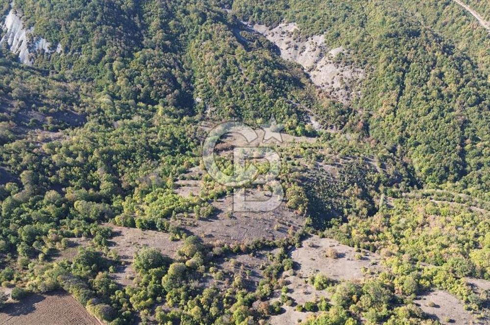 Çanakkale Biga Kazmalı Köyü 2902 M² Satılık Tarla!