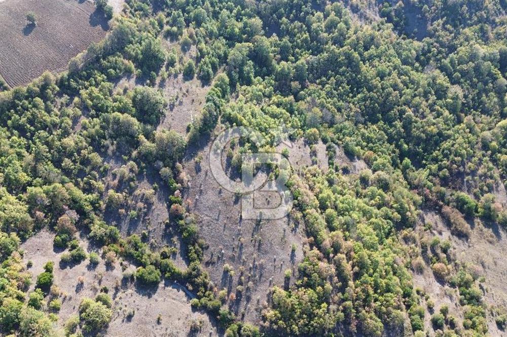 Çanakkale Biga Kazmalı Köyü 2902 M² Satılık Tarla!