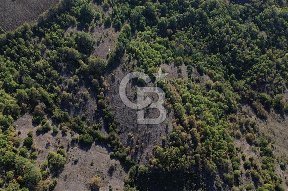 Çanakkale Biga Kazmalı Köyü 2902 M² Satılık Tarla!