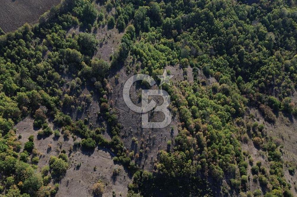 Çanakkale Biga Kazmalı Köyü 2902 M² Satılık Tarla!