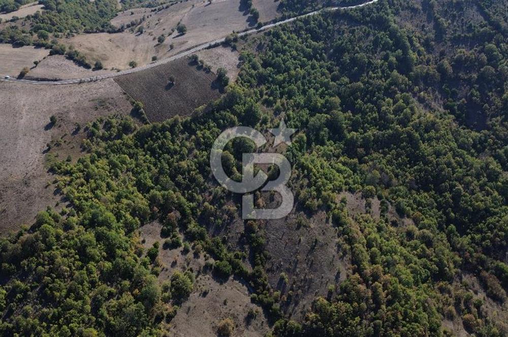 Çanakkale Biga Kazmalı Köyü 2902 M² Satılık Tarla!