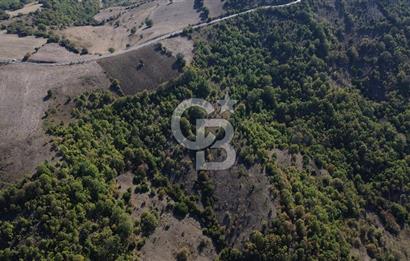 Çanakkale Biga Kazmalı Köyü 2902 M² Satılık Tarla!
