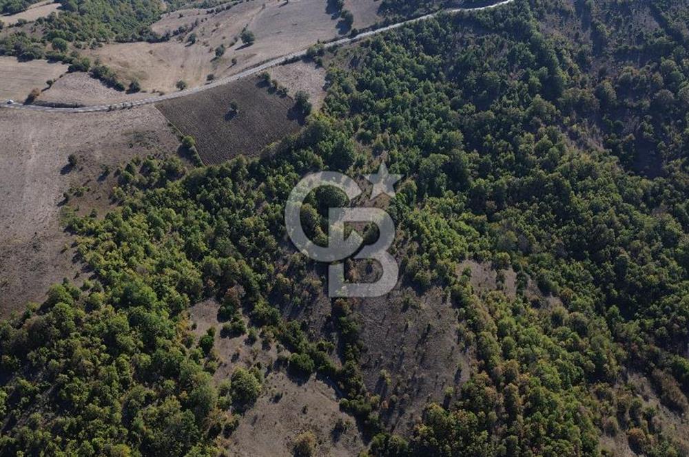 Çanakkale Biga Kazmalı Köyü 2902 M² Satılık Tarla!