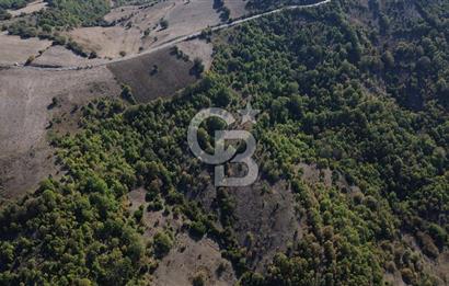 Çanakkale Biga Kazmalı Köyü 2902 M² Satılık Tarla!