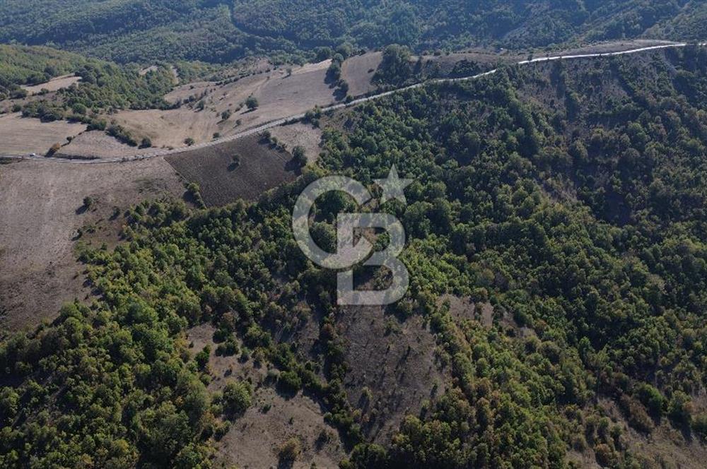 Çanakkale Biga Kazmalı Köyü 2902 M² Satılık Tarla!