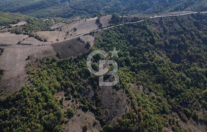 Çanakkale Biga Kazmalı Köyü 2902 M² Satılık Tarla!