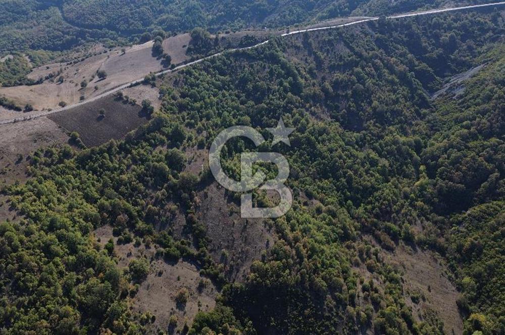 Çanakkale Biga Kazmalı Köyü 2902 M² Satılık Tarla!