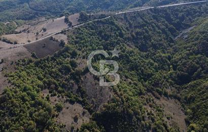 Çanakkale Biga Kazmalı Köyü 2902 M² Satılık Tarla!