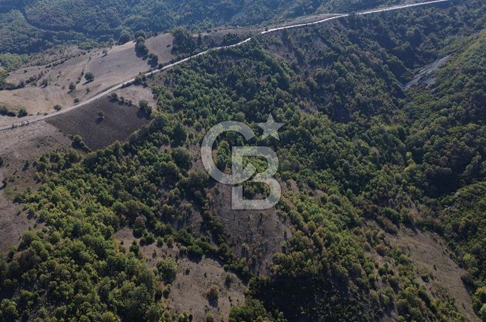 Çanakkale Biga Kazmalı Köyü 2902 M² Satılık Tarla!