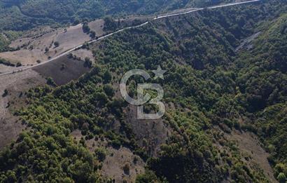 Çanakkale Biga Kazmalı Köyü 2902 M² Satılık Tarla!