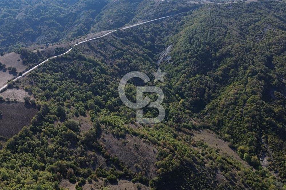 Çanakkale Biga Kazmalı Köyü 2902 M² Satılık Tarla!