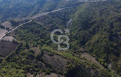 Çanakkale Biga Kazmalı Köyü 2902 M² Satılık Tarla!