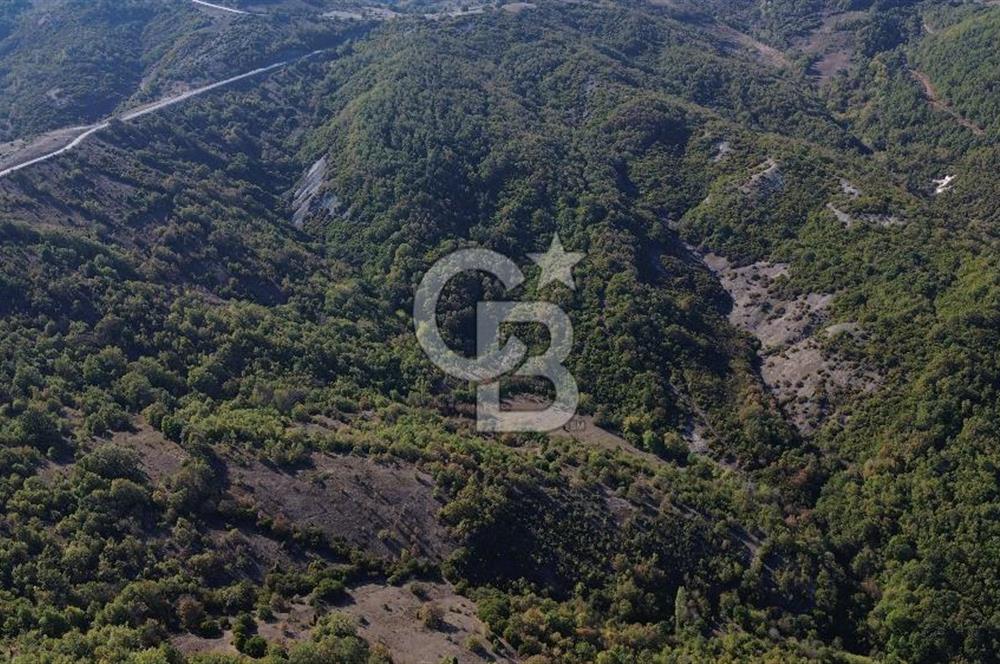 Çanakkale Biga Kazmalı Köyü 2902 M² Satılık Tarla!