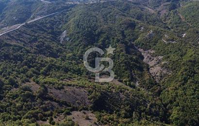 Çanakkale Biga Kazmalı Köyü 2902 M² Satılık Tarla!