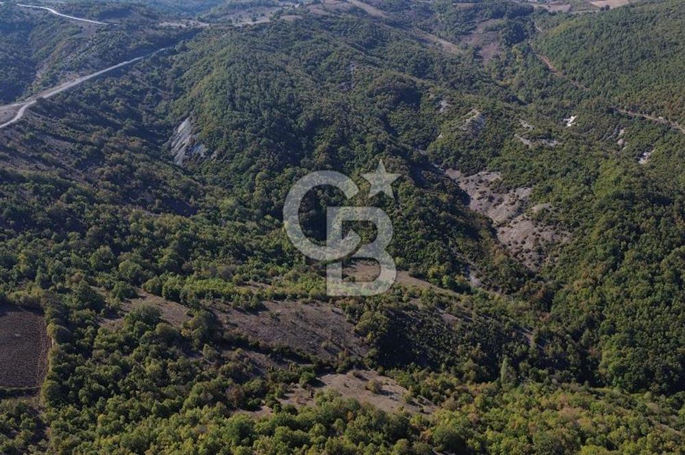 Çanakkale Biga Kazmalı Köyü 2902 M² Satılık Tarla!