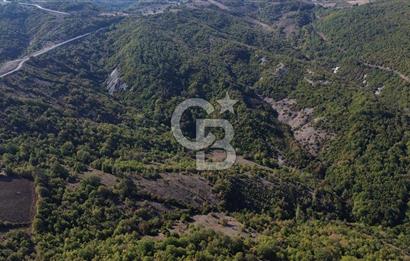 Çanakkale Biga Kazmalı Köyü 2902 M² Satılık Tarla!