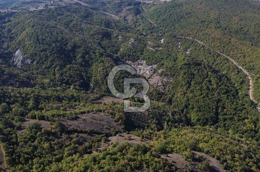 Çanakkale Biga Kazmalı Köyü 2902 M² Satılık Tarla!