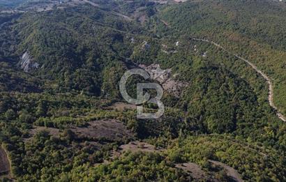 Çanakkale Biga Kazmalı Köyü 2902 M² Satılık Tarla!