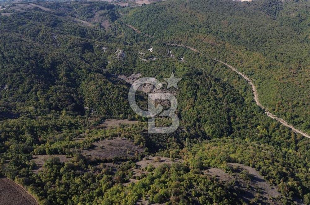 Çanakkale Biga Kazmalı Köyü 2902 M² Satılık Tarla!