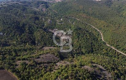 Çanakkale Biga Kazmalı Köyü 2902 M² Satılık Tarla!