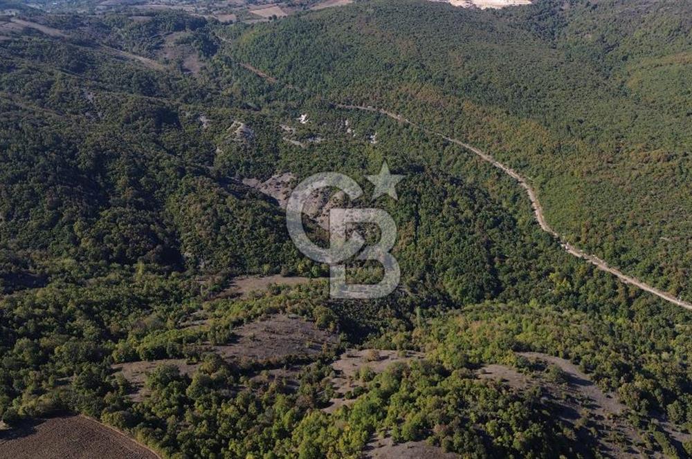 Çanakkale Biga Kazmalı Köyü 2902 M² Satılık Tarla!