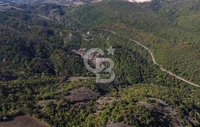 Çanakkale Biga Kazmalı Köyü 2902 M² Satılık Tarla!
