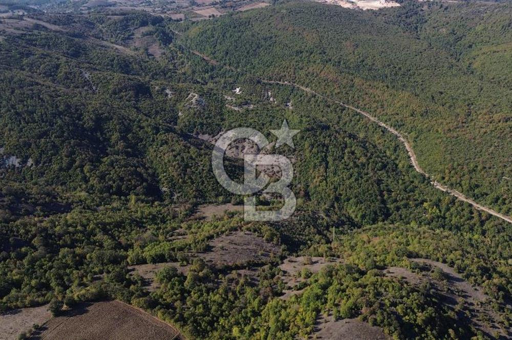 Çanakkale Biga Kazmalı Köyü 2902 M² Satılık Tarla!