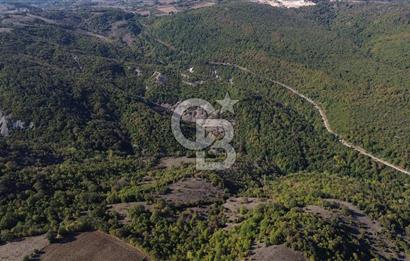 Çanakkale Biga Kazmalı Köyü 2902 M² Satılık Tarla!