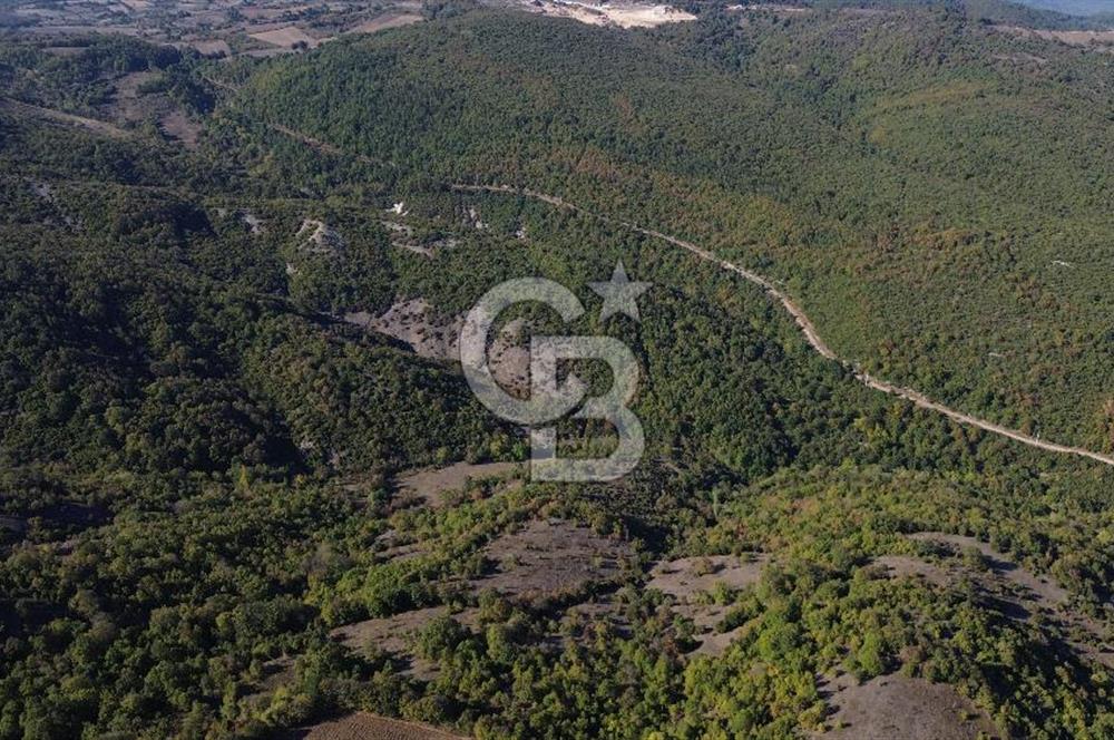 Çanakkale Biga Kazmalı Köyü 2902 M² Satılık Tarla!