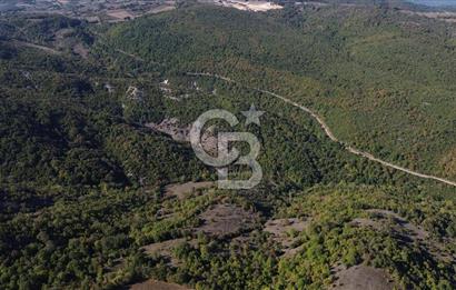 Çanakkale Biga Kazmalı Köyü 2902 M² Satılık Tarla!