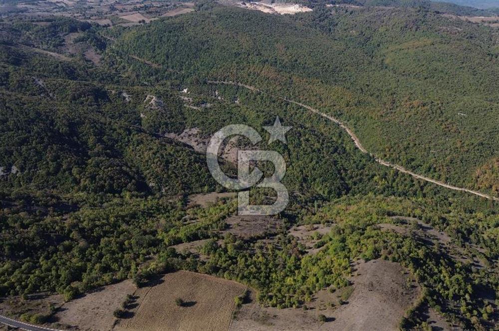 Çanakkale Biga Kazmalı Köyü 2902 M² Satılık Tarla!