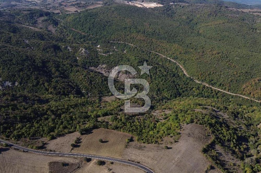 Çanakkale Biga Kazmalı Köyü 2902 M² Satılık Tarla!