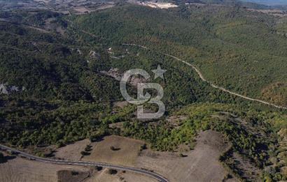 Çanakkale Biga Kazmalı Köyü 2902 M² Satılık Tarla!