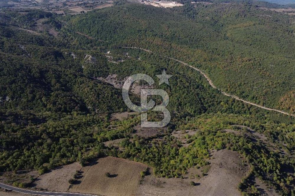 Çanakkale Biga Kazmalı Köyü 2902 M² Satılık Tarla!