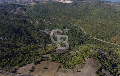 Çanakkale Biga Kazmalı Köyü 2902 M² Satılık Tarla!
