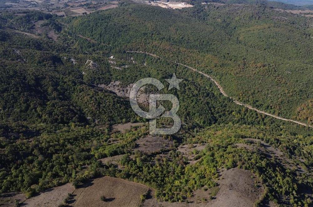 Çanakkale Biga Kazmalı Köyü 2902 M² Satılık Tarla!