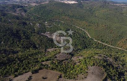 Çanakkale Biga Kazmalı Köyü 2902 M² Satılık Tarla!