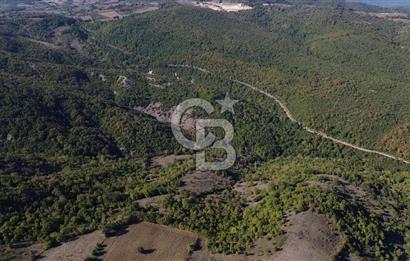 Çanakkale Biga Kazmalı Köyü 2902 M² Satılık Tarla!