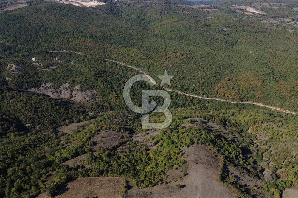 Çanakkale Biga Kazmalı Köyü 2902 M² Satılık Tarla!