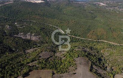 Çanakkale Biga Kazmalı Köyü 2902 M² Satılık Tarla!