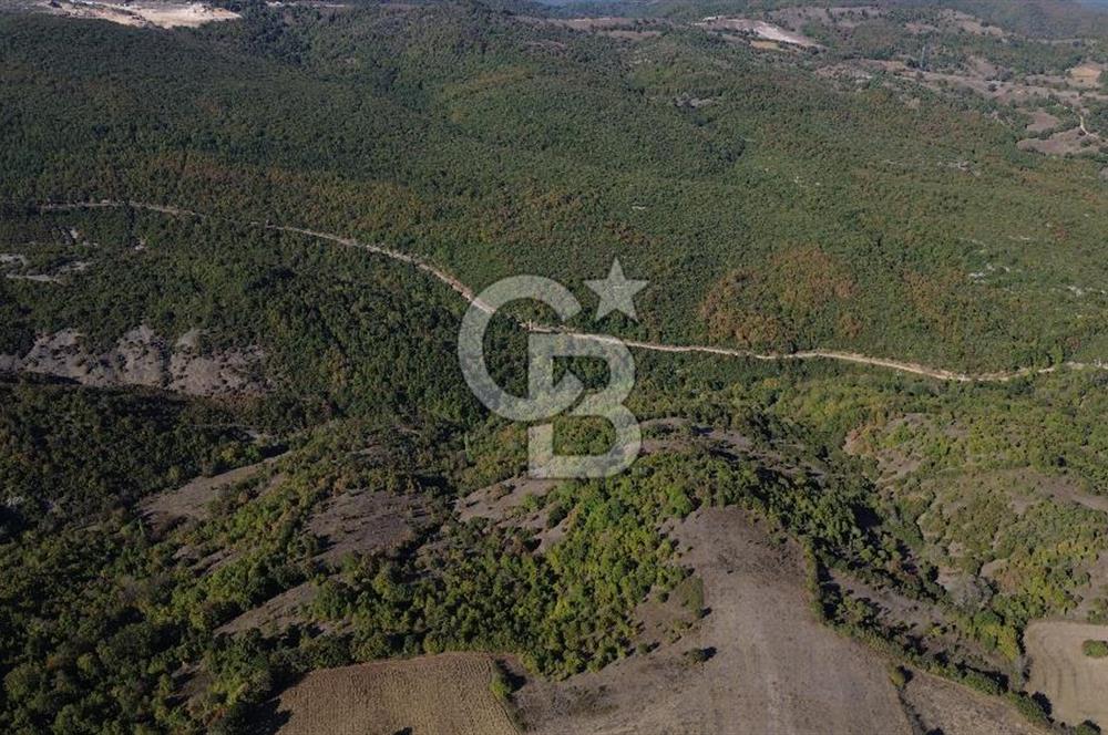 Çanakkale Biga Kazmalı Köyü 2902 M² Satılık Tarla!