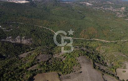 Çanakkale Biga Kazmalı Köyü 2902 M² Satılık Tarla!