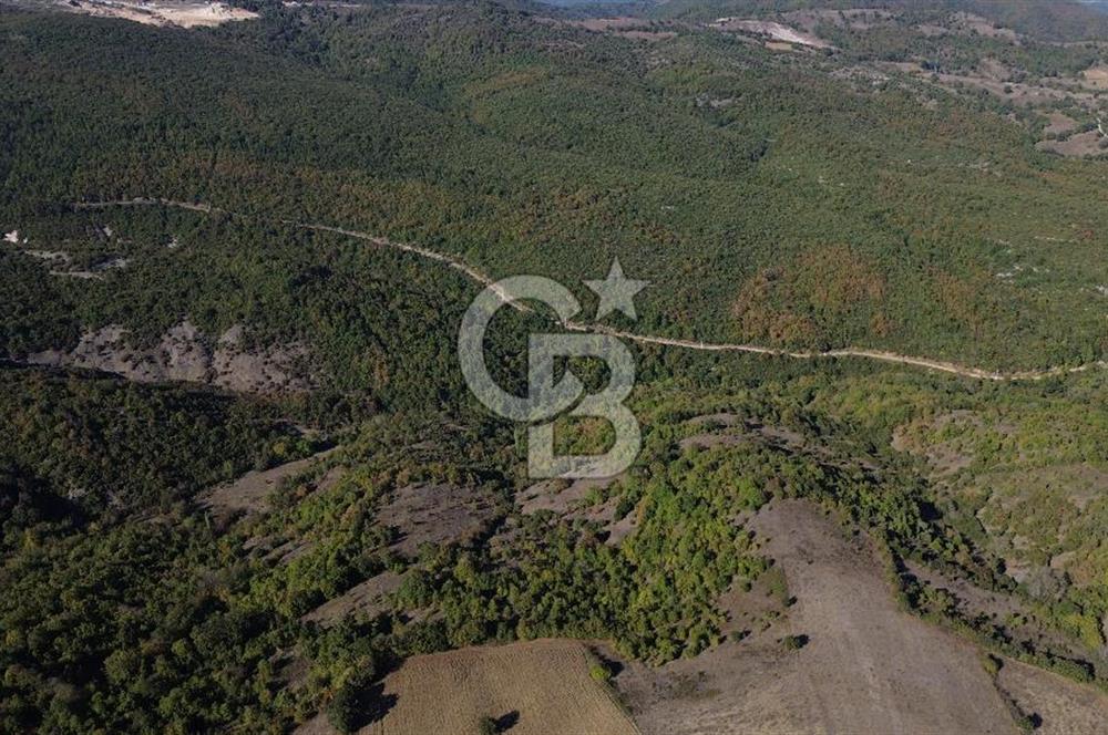 Çanakkale Biga Kazmalı Köyü 2902 M² Satılık Tarla!