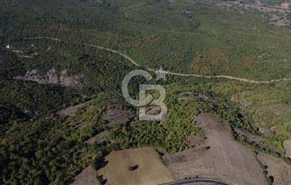Çanakkale Biga Kazmalı Köyü 2902 M² Satılık Tarla!
